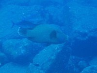 天気予報外れる 2010/04/29 21:27:06