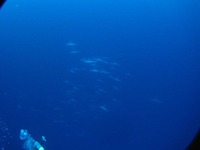 やったよ〜♪ 2010/01/22 17:59:03