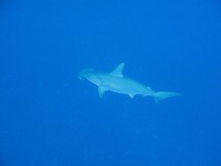 ２勝１敗 2010/01/31 17:21:58
