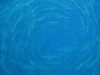 台風か？ 2010/05/14 21:32:01