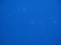 ハンマー２戦２勝＾＾ 2010/01/23 16:54:23