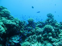 今日もいい天気〜♪ 2010/01/21 20:57:57