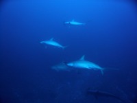 いますねぇ♪ 2010/01/28 21:59:43