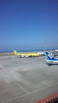 ピカチュウ 2011/02/25 10:56:54