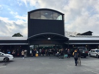 大好きな街「 ゆふいん 」をぶらりお散歩