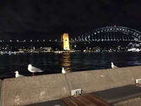 シドニー最後の夜は
