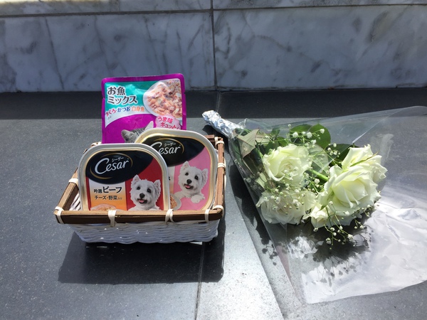 会いたいな … ♡♡♡