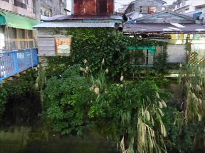 裏話　せめてあと１度は行きたい！農連市場取材記 ～後編～