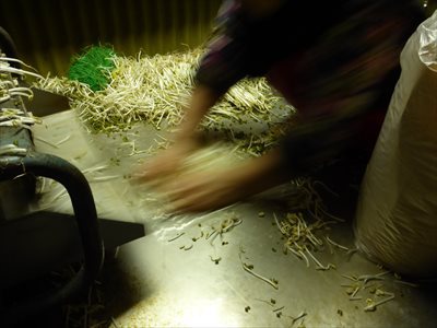 裏話　せめてあと１度は行きたい！農連市場取材記 ～後編～