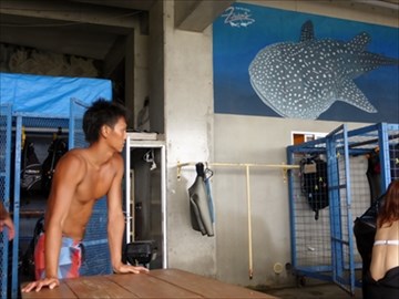 『ジンベイザメと泳ぎたい』を叶えてくれる夢の海へ