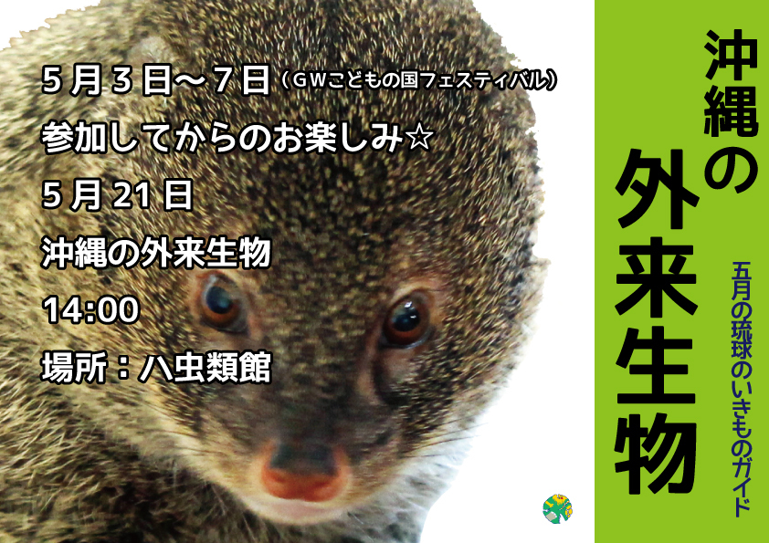 5月の琉球のいきものガイド 外来生物 沖縄こどもの国