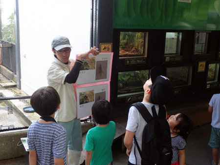 琉球のいきものガイド＊10月のテーマ：ヘビ