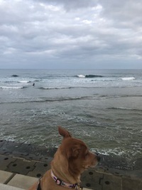 沖縄サーフィン波情報 2018/01/06 08:12:36