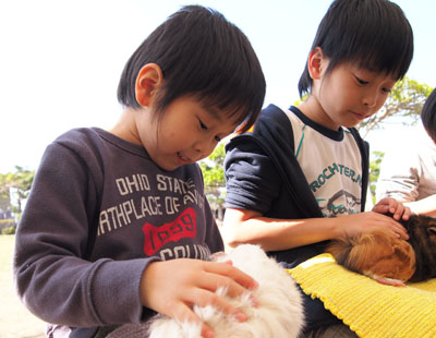 沖縄青少年化学展。