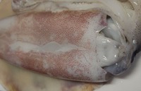 夜釣の成果。