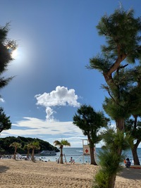 夏ー。 2019/07/30 21:34:10