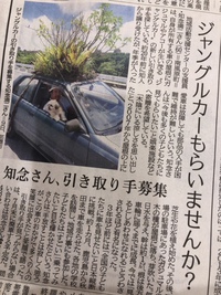 ジャングルカー。 2018/07/19 16:43:41