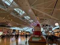 飛行機乗れずもう一泊。 2020/01/27 15:40:42