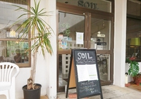 SOIL