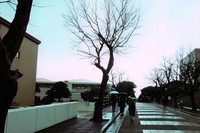 琉球大学の学食 / 中央食堂 2018/01/06 18:00:00