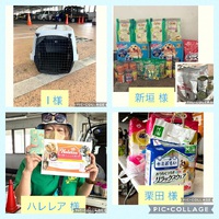 9月22日（日）「メイクマン浦添本店」譲渡会 支援物資＆ご寄付のご報告・・・感謝！