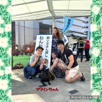 2日（日）「正式譲渡」は、マリリンちゃん・・・終生の幸せを祈る！