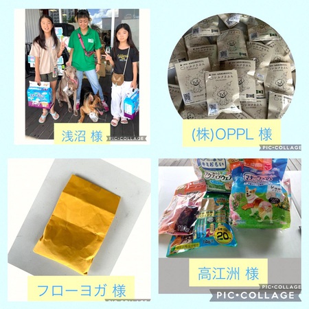 11月10日（日）「ペットボックス」譲渡会 支援物資＆ご寄付のご報告・・・感謝！