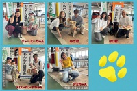 23日（日）「正式譲渡」5ワンズ・・・終生の幸せを祈る！