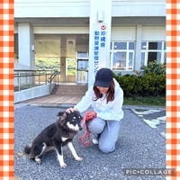 本日、東村有銘より収容の子、引き取りました・・・年度末日「保留」した、もう1ワンズ！
