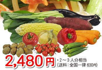 全国11種お野菜セット