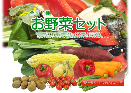 全国11種お野菜セット