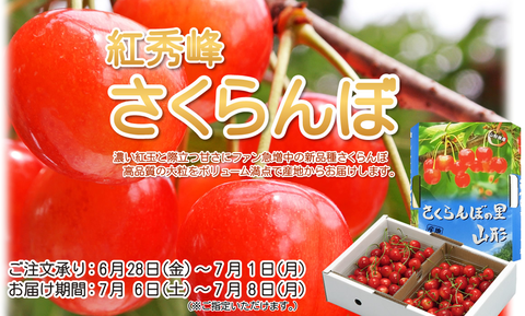 さくらんぼ山形産