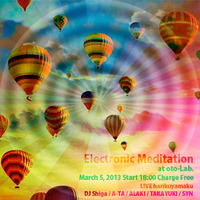 Electronic Meditation 2013/02/28 20:48:22