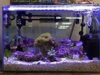 Well Aquarium 2016/08/31 14:01:38