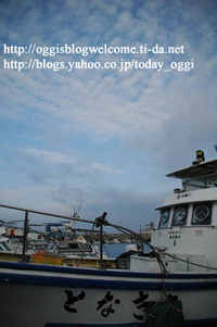 2006年02月11日