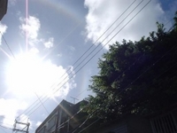 ☆宣言＆ウォーキング♪体重が？！(☆o☆)（仲松） 2007/08/08 10:30:40