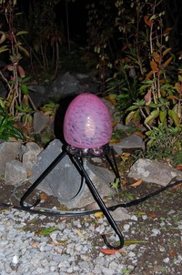 第２回今帰仁グスク　桜まつりが始まりました