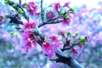 与儀公園