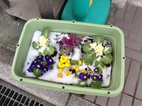 由布院便り第８弾