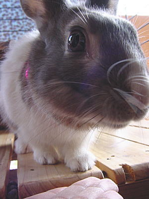 うぃーーす