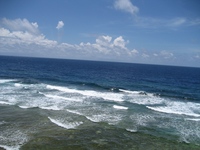 海