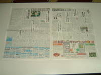 新聞掲載
