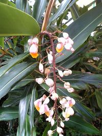 花♪ 2007/05/28 15:00:00