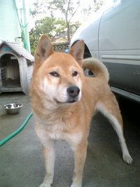 のんびり 2007/05/31 10:26:05