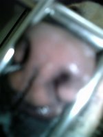 ムフフ 2007/06/02 20:03:55