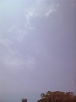 晴れた〜 2007/06/03 10:53:25