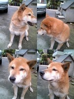 おはよう 2007/06/08 10:22:13