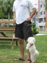 SEX犬？ 2006/07/25 19:45:01