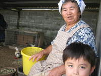 八重山ばーちゃんのペット 2006/07/25 20:14:51