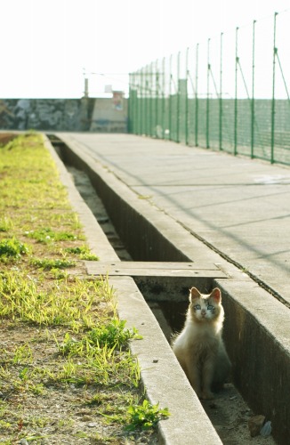 きょうの夕暮れ